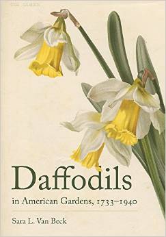 Daffodils in American Gardens